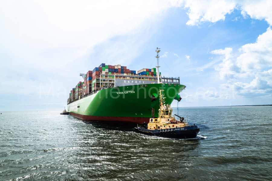 Evergreen Ever Gifted