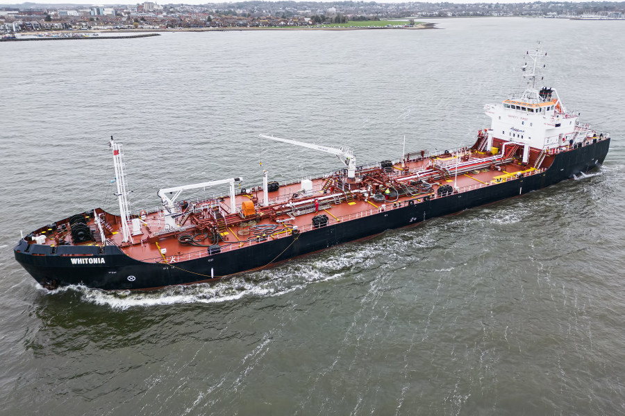 Whitonia at Poole, UK